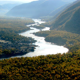 photo of extensive woodlands along the Yenisey river in Siberia. © Verhovya Eniseya