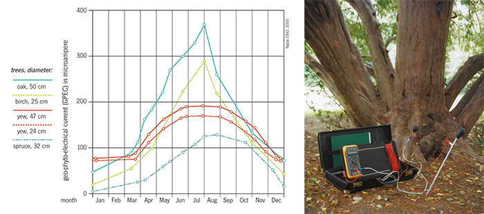 Left: graph of bio-electrical currents in various tree species, annual variations. Right: photo of Rajda's measuring device