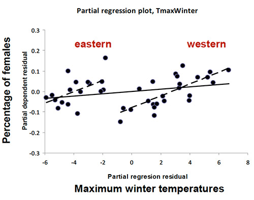 Fig. 5 Relationship between sex-ratio and temperature
