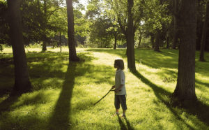 Boy standing enchanted among trees in the evening sun. © Jerome Berquez/Fotolia