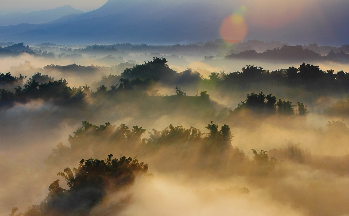 Heavy evaporation over dense forest. © aslysun/shutterstock.com