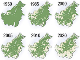 map showing the deforestation of Borneo © www.treehugger.com